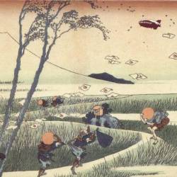 Led Zeppelin : The Last Campaign